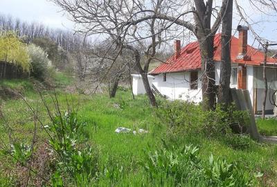 Casă cu Teren 1800 Mp în Colonești - 4
