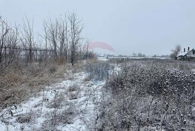 Teren de 7200 mp, în Bodești - 3