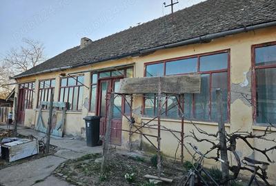 Casă cu 3 camere cu Teren 1088 Mp în Vinga - 2