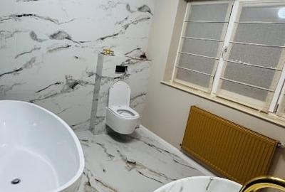 De vânzare/inchiriat inchiriere casă/vila Pipera Voluntari Vasile Alecsandri - 10