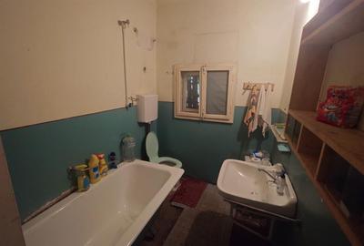 Teren, padure si casa in Dumbrava de Jos, jud. Hunedoara - 10