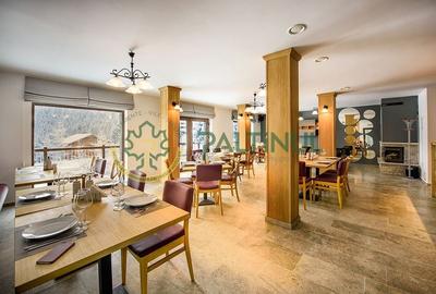 Afacere la Cheie - Pensiune 12 camere în Păltiniș - 10