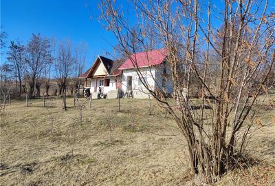 Casă cu 2 camere în Șuici - 2