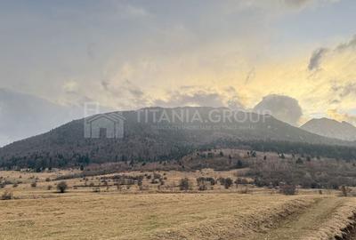 Teren de 2548 mp, în Zărnești - 8