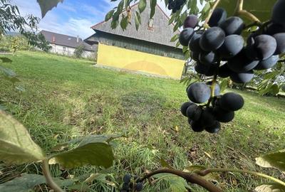 Casa cu teren de vanzare in Busag - 25