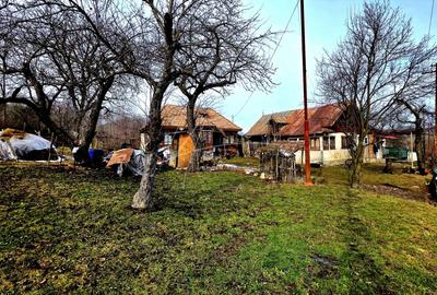 Teren Construcții de 3948 mp, în Provița de Sus - 9