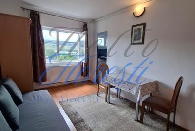 Apartament cu 1 camere, in zona Baciu - 1