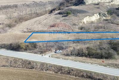 Teren de 2000 mp, în Moșna - 3