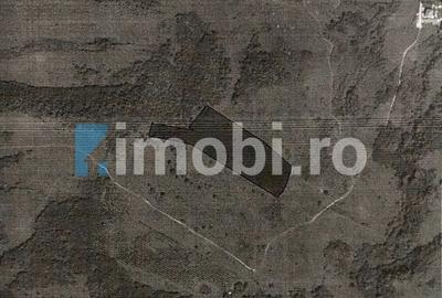 Teren Intravilan, 19400mp, zona locuinte colective/blocuri, zona Terra Floresti - 3