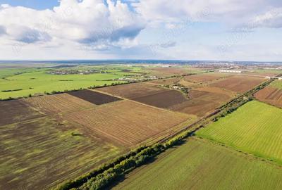 Vindem Teren intravilan ?oseaua Arad-Timi?oara | Destina?ie industriala 700 metri liniari - 6