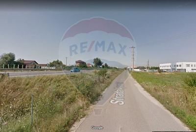 Teren intravilan de 20060 mp, în Glina - 10