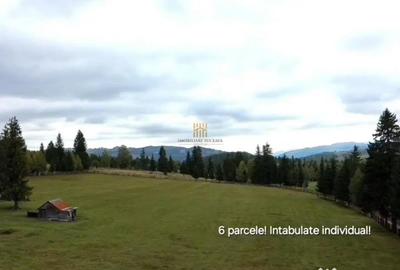 Teren de 16813 mp, în Fundu Moldovei - 8