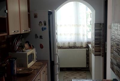Valea Oltului, garsoniera 43 mp, Brancusi - 4