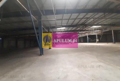 Spațiu industrial, de 4,850 mp, în 1 Decembrie - 33