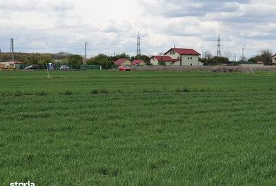 Spațiu comercial, în Balotești - 4