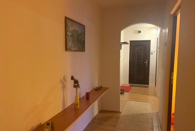 Apartament cu 2 camere decomandat în Dâmbu Pietros - 10