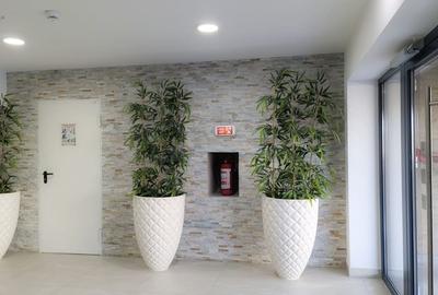 Apartament cu 2 camere semidecomandat în Costin Georgian - 9