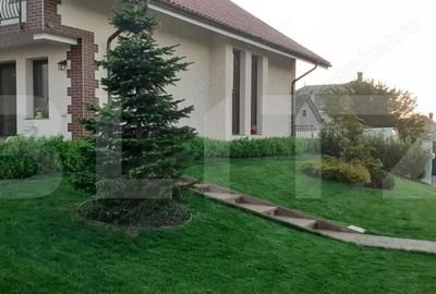 Casă cu Teren 2743 Mp în Sud - 13