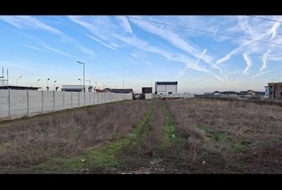 Teren în Berceni - 1