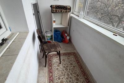 Baba Novac- langa Parc IOR - 15