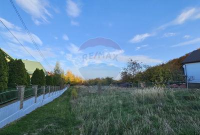 Teren intravilan 1,450mp Ilisesti / DN 17-Suceava - 6