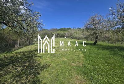 Teren agricol extravilan de 5400 mp, în Orlat - 11