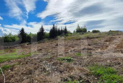 Teren intravilan de vanzare, 680 mp, drumul Sigmir - 1