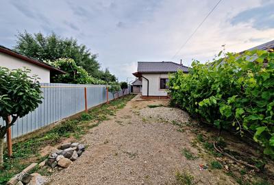 Darasti-Vlasca, Adunatii Copaceni Darasti-Vlasca, Adunatii Copaceni - 18
