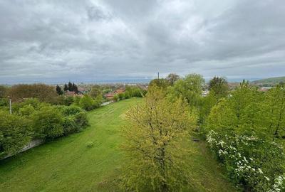 Oportunitate investitie - Covasna 21000mp intravilan - 17