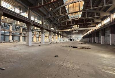 Spațiu industrial, de 17,500 mp, în Zona Liberă - 3