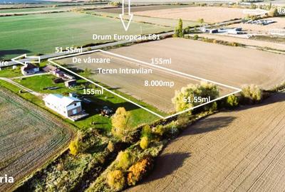 Teren de 8000 mp, în Botiz - 12