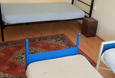 Cazare muncitori in dumbravita - 4