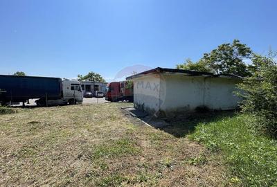 Teren de 35000 mp, în Chiajna - 7