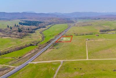 Teren de 7786 mp, în Vlădeni