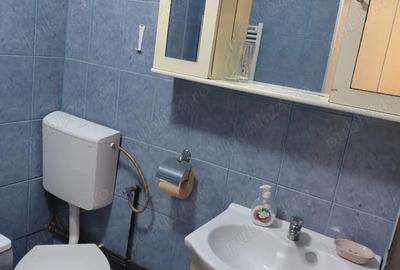 Apartament 1 camera de inchiriat - 7