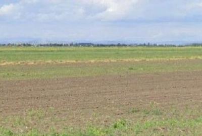 Teren extravilan Cocorastii Colt ; ID: R2710069 - 1