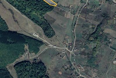 Spațiu comercial, în Sigmir - 6