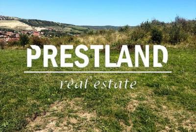 Teren de 773.9 mp, în Șura Mare - 3