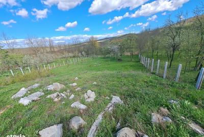 Spațiu comercial, în Straja - 4