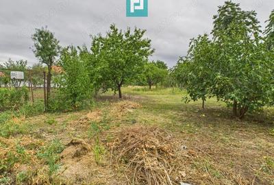 Casa in stil nem?esc, zona centrala Vinga - 4