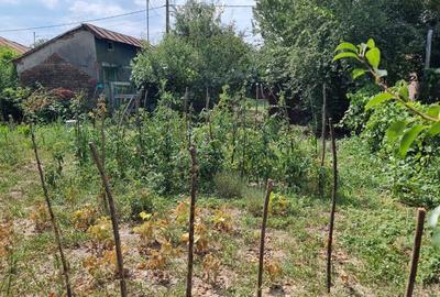 Teren de 1600 mp, în Varnița - 5