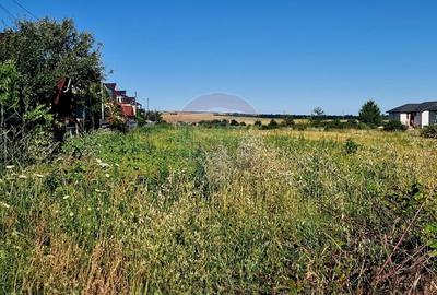 Teren Construcții intravilan de 3538 mp, în 1 Mai - 17