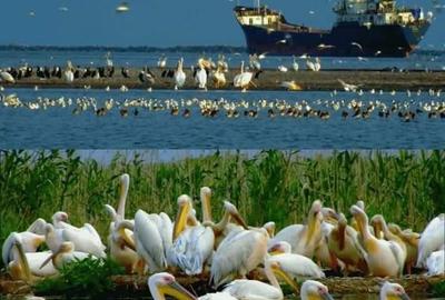 Casă în Ilganii de Sus - 6