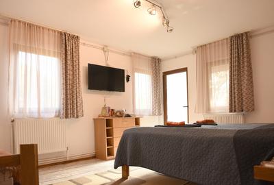 Hotel/Pensiune, de 29 mp, în Drumul Poienii - 7