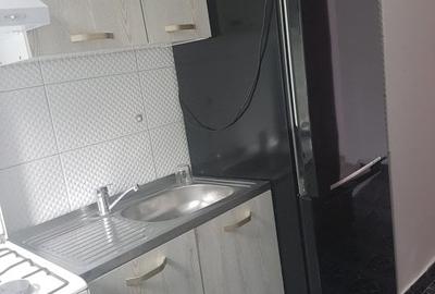 Apartament doua camere etaj unu, mobilat si utilat complet central, prin Ravirom - 12
