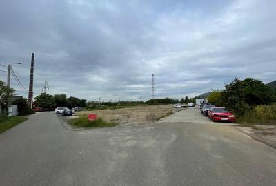 Teren intravilan, investie Hale Industriale, zona Est Teren intravilan, investie Hale Industriale, zona Est - 4