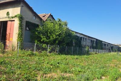 Hala 3360 mp Strada Garii (fosta SIRCUC Timisoara) - 2