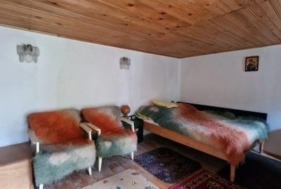 Balilesti - Stradal, casa spatioasa, 4600 mp teren intravilan - curte spatioasa - 20