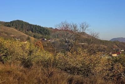 Teren 6,874mp Alexandru cel Bun / Strada plopusor - 17