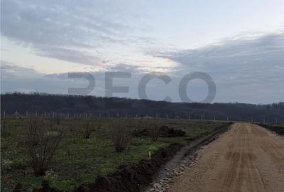 Spațiu comercial, în Păușa - 2